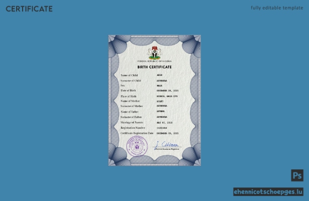 Nigerianische Geburtsurkunde (PSD-Beispiel)